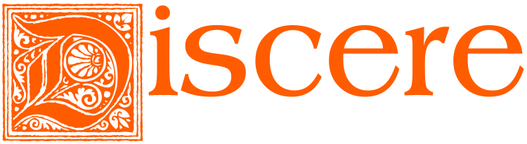 DISCERE e-Learning